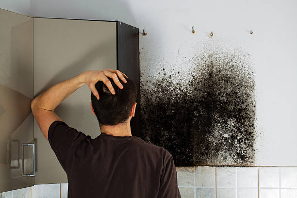 Best Residential Mold Inspection & Testing  in Fort Polk North, LA